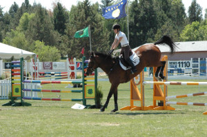 Performance horse show events