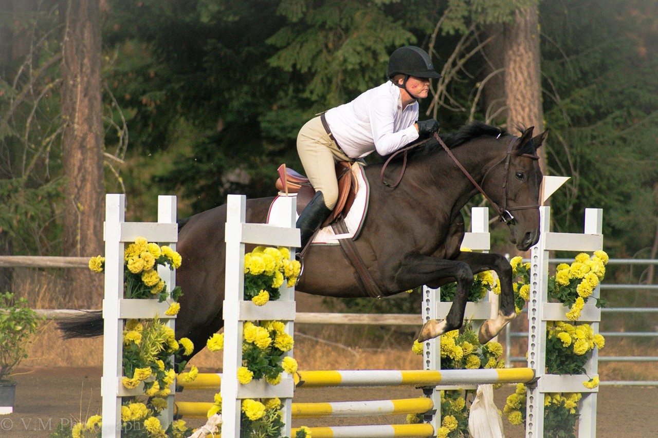 Performance horse show events